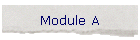 Module A