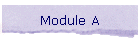Module A