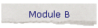Module B