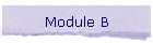 Module B