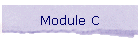 Module C